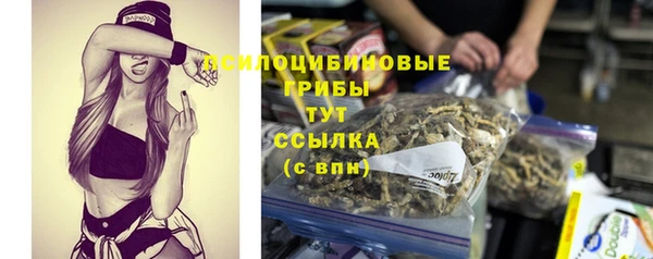 MDMA Богородицк