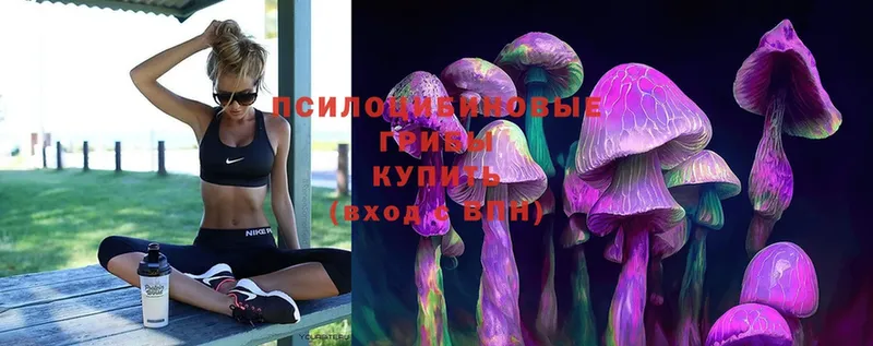 Псилоцибиновые грибы Psilocybe  Коломна 